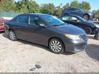 TOYOTA TOYOTA COROLLA LE