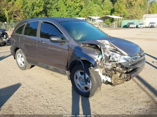 HONDA HONDA CR-V LX