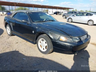 FORD FORD MUSTANG