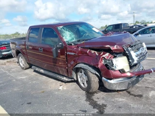 FORD FORD F-150 KING RANCH/LARIAT/PLATINUM/XL/XLT