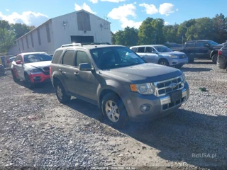 FORD FORD ESCAPE LIMITED