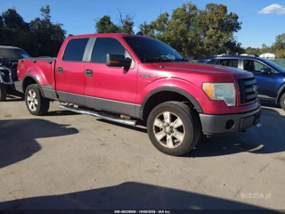 FORD FORD F-150 FX4/XLT