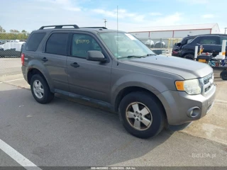 FORD FORD ESCAPE XLT