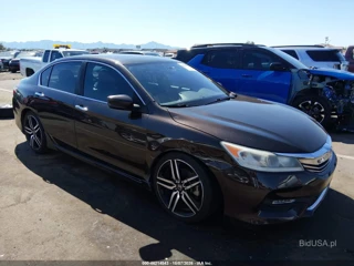 HONDA HONDA ACCORD SPORT