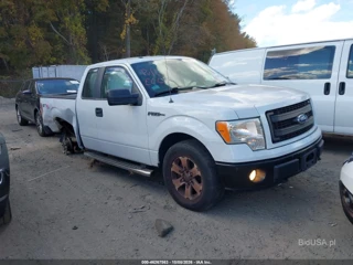 FORD FORD F-150 STX
