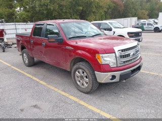 FORD FORD F-150 XLT