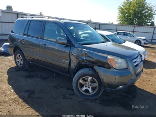 HONDA HONDA PILOT SE