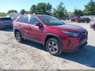 TOYOTA TOYOTA RAV4 XLE