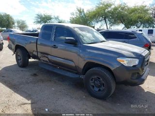 TOYOTA TOYOTA TACOMA SR