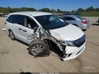 HONDA HONDA ODYSSEY LX