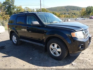 FORD FORD ESCAPE XLT
