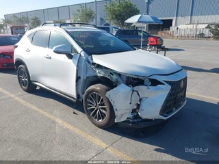 LEXUS LEXUS NX 350 PREMIUM