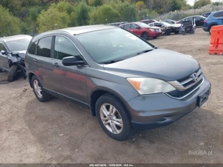 HONDA HONDA CR-V EX