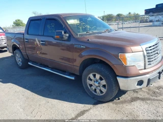 FORD FORD F-150 XLT