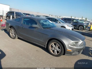 FORD FORD MUSTANG V6