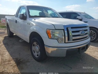 FORD FORD F-150 STX/XL/XLT