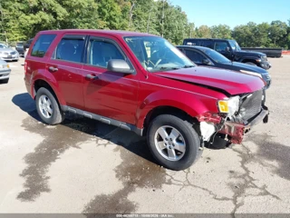 FORD FORD ESCAPE XLS
