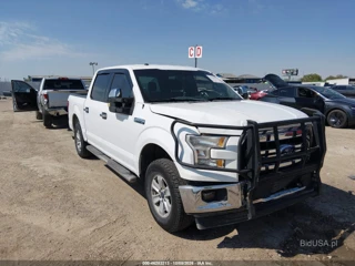 FORD FORD F-150 XLT