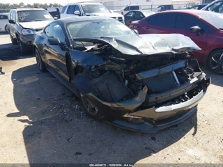 FORD FORD MUSTANG V6