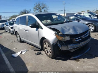 HONDA HONDA ODYSSEY EX