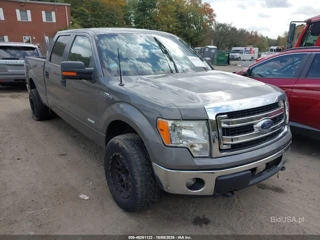FORD FORD F-150 XLT