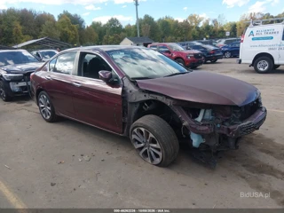 HONDA HONDA ACCORD SPORT