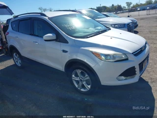 FORD FORD ESCAPE SE