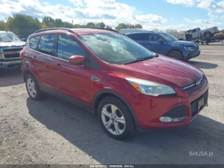FORD FORD ESCAPE SE