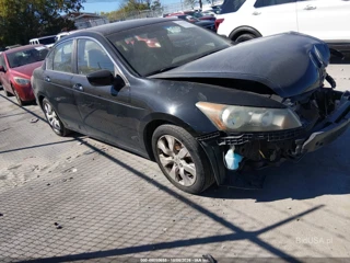 HONDA HONDA ACCORD 2.4 EX-L