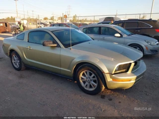 FORD FORD MUSTANG V6