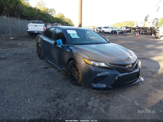 TOYOTA TOYOTA CAMRY TRD
