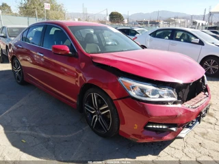 HONDA HONDA ACCORD SPORT