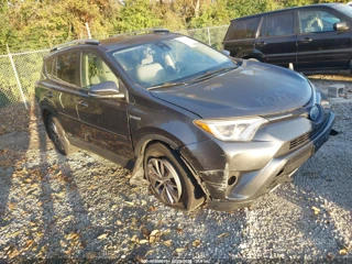 TOYOTA TOYOTA RAV4 HYBRID XLE