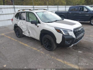 SUBARU SUBARU FORESTER WILDERNESS