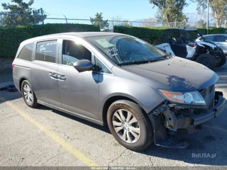 HONDA HONDA ODYSSEY EX-L