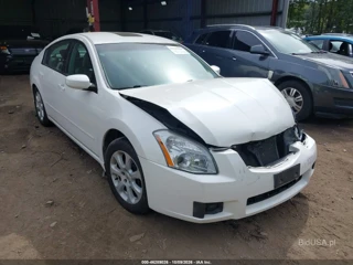 NISSAN NISSAN MAXIMA 3.5 SL