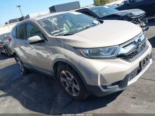 HONDA HONDA CR-V EX