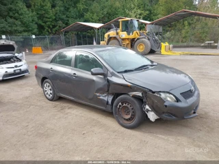 TOYOTA TOYOTA COROLLA LE