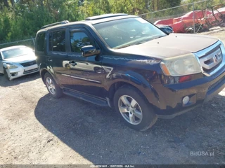 HONDA HONDA PILOT EX-L
