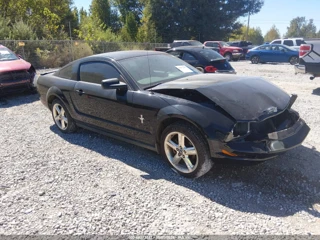 FORD FORD MUSTANG V6 DELUXE/V6 PREMIUM