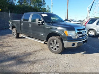FORD FORD F-150 XLT