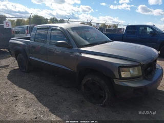 DODGE DODGE DAKOTA BIGHORN/LONESTAR