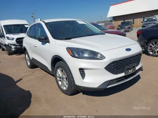 FORD FORD ESCAPE SE