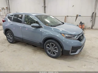 HONDA HONDA CR-V HYBRID EX-L