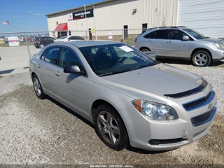 CHEVROLET CHEVROLET MALIBU LS