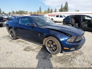 FORD FORD MUSTANG V6 PREMIUM