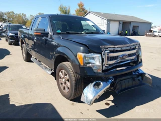 FORD FORD F-150 XLT