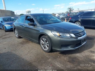 HONDA HONDA ACCORD LX