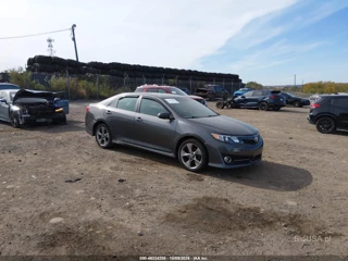 TOYOTA TOYOTA CAMRY SE