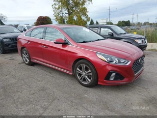 HYUNDAI HYUNDAI SONATA SPORT